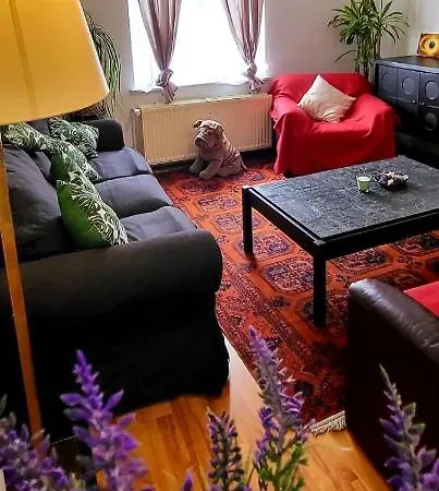 Bright Studio Close To Zaventem Airport Brussel Buitenkant foto